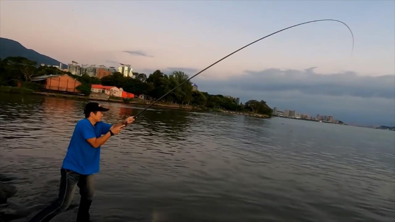 钓鱼人手竿沉底钓乌头鱼竿弯如弓遛鱼超爽