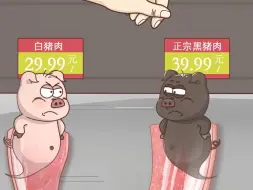 Download Video: 你喜欢黑猪肉还是白猪肉