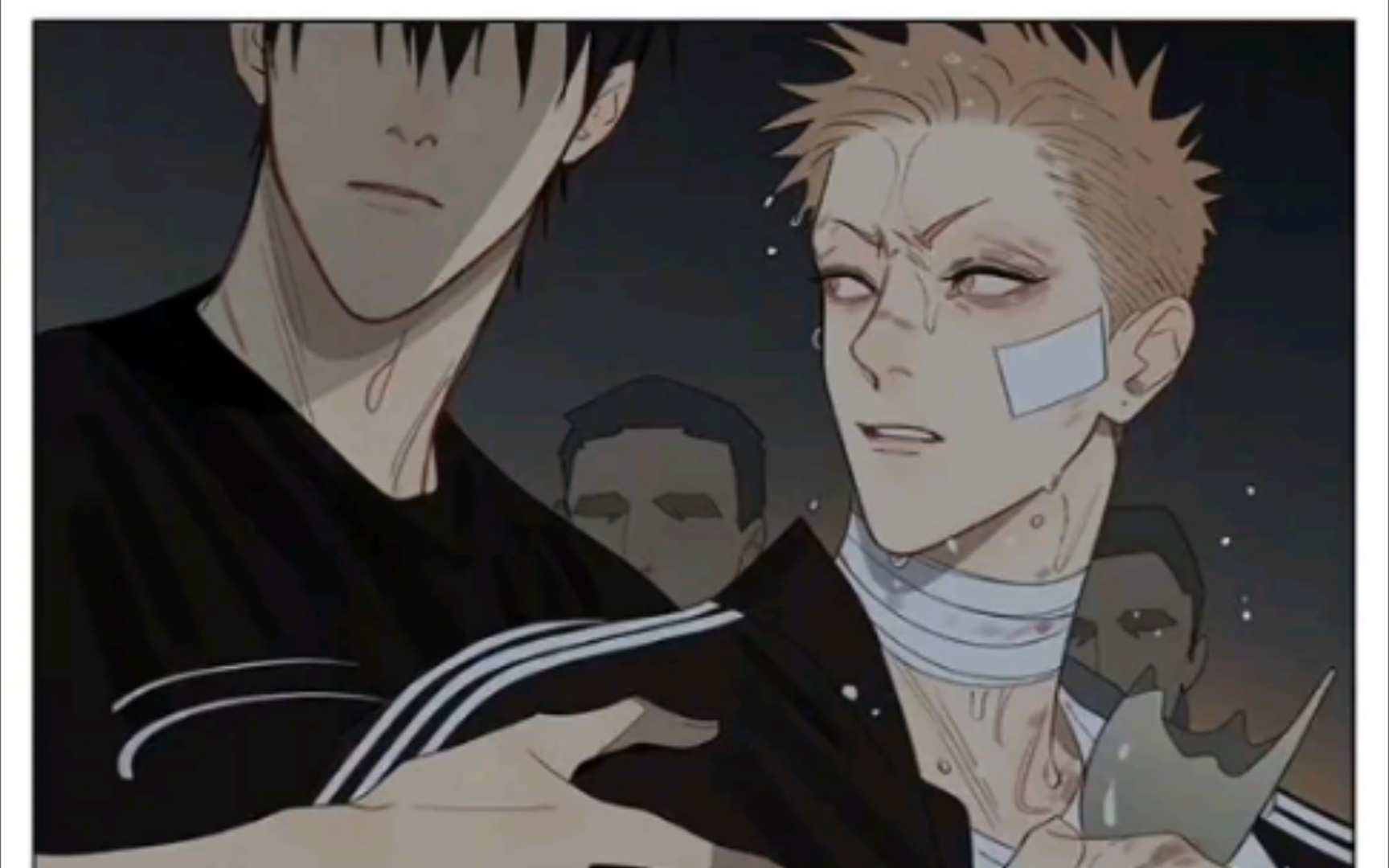 19天漫画……莫仔一个人去蛇立打架,贺天立马出现