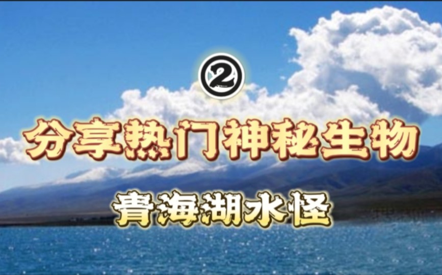 【分享热门UMA】第二期:青海湖水怪,被网友传播成“中国龙”的不明潜水物.哔哩哔哩bilibili