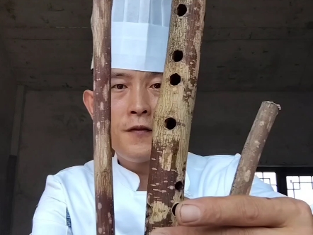李厨自制乐器海报
