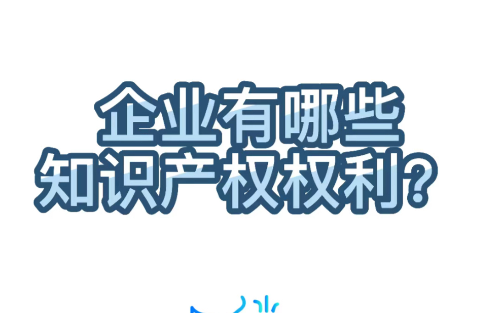 【学术交流】75.企业有哪些知识产权权利?哔哩哔哩bilibili