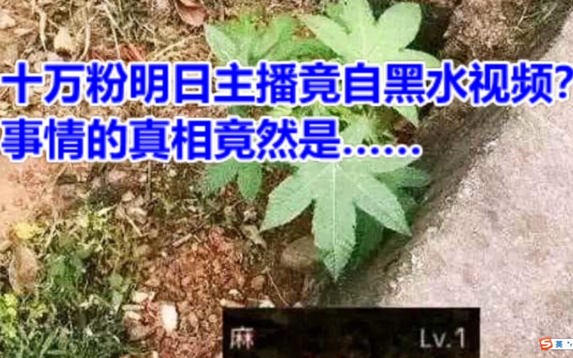 [图]十万粉明日之后主播竟自黑水视频？事情的真相竟然是……【明日之后】