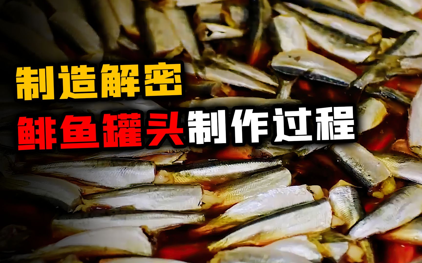 年销100万罐,堪称黑暗料理之首的鲱鱼罐头,原来是这样制造的