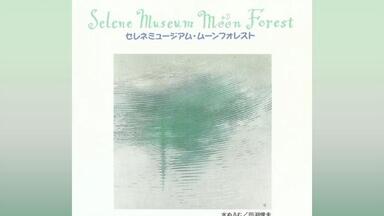 宇佐美恵子Keiko Usami - Manhattan Groove (Full Album) (1983)_哔哩