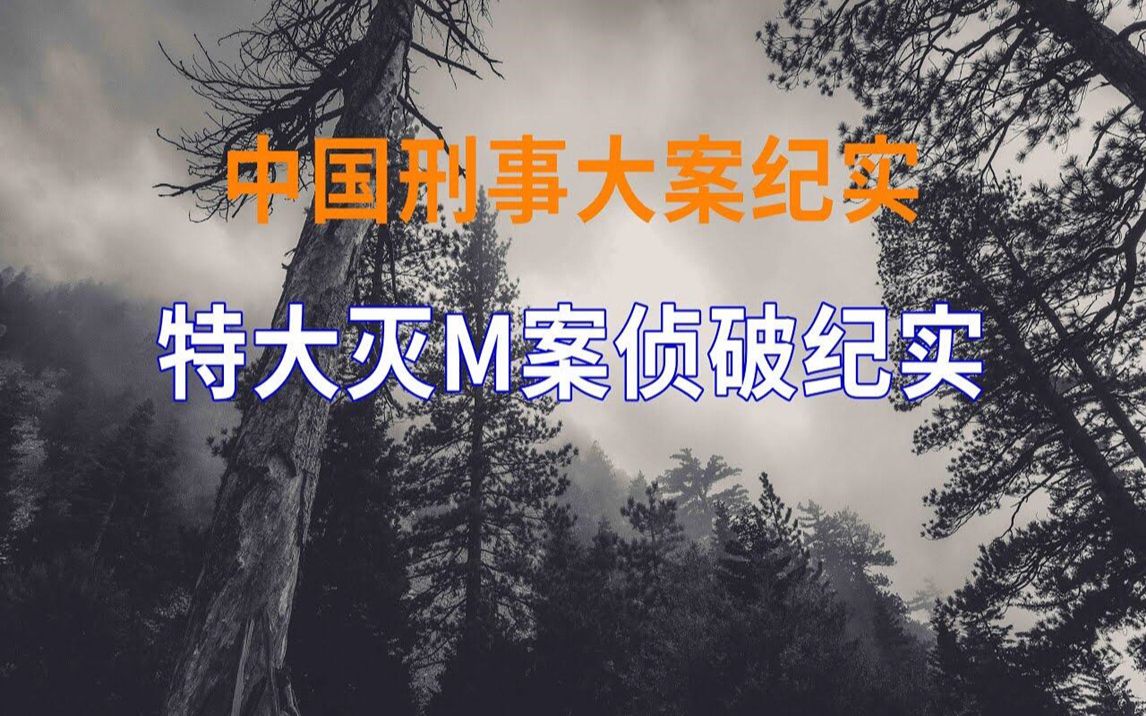 [图]呼和浩特特大案侦破纪实