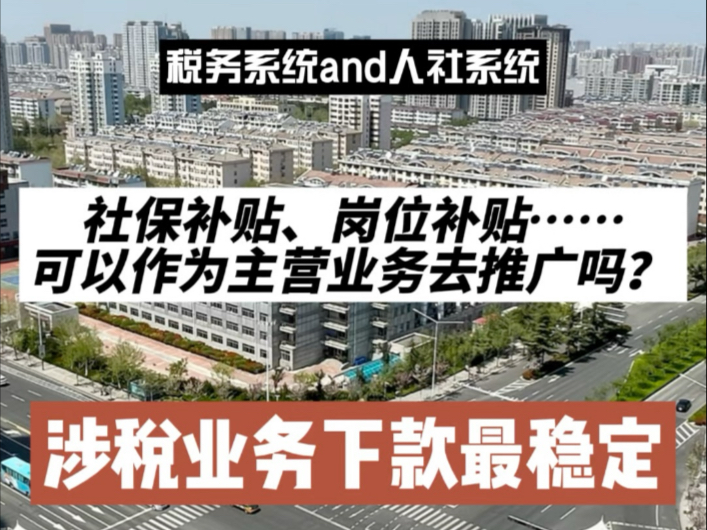 社保补贴、4050补贴等人社系统的补贴是否可以作为主营业务去推广?税务系统的业务为什么下款快且稳定?#重点群体就业补贴怎么申报 #重点群体政策解...