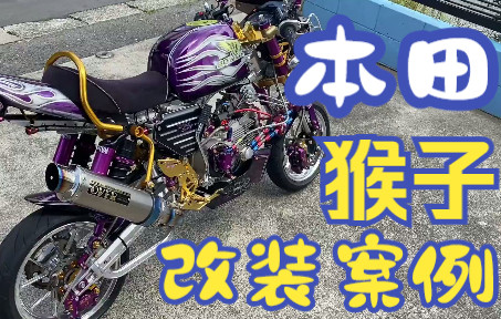 本田小猴子改装案例赏析