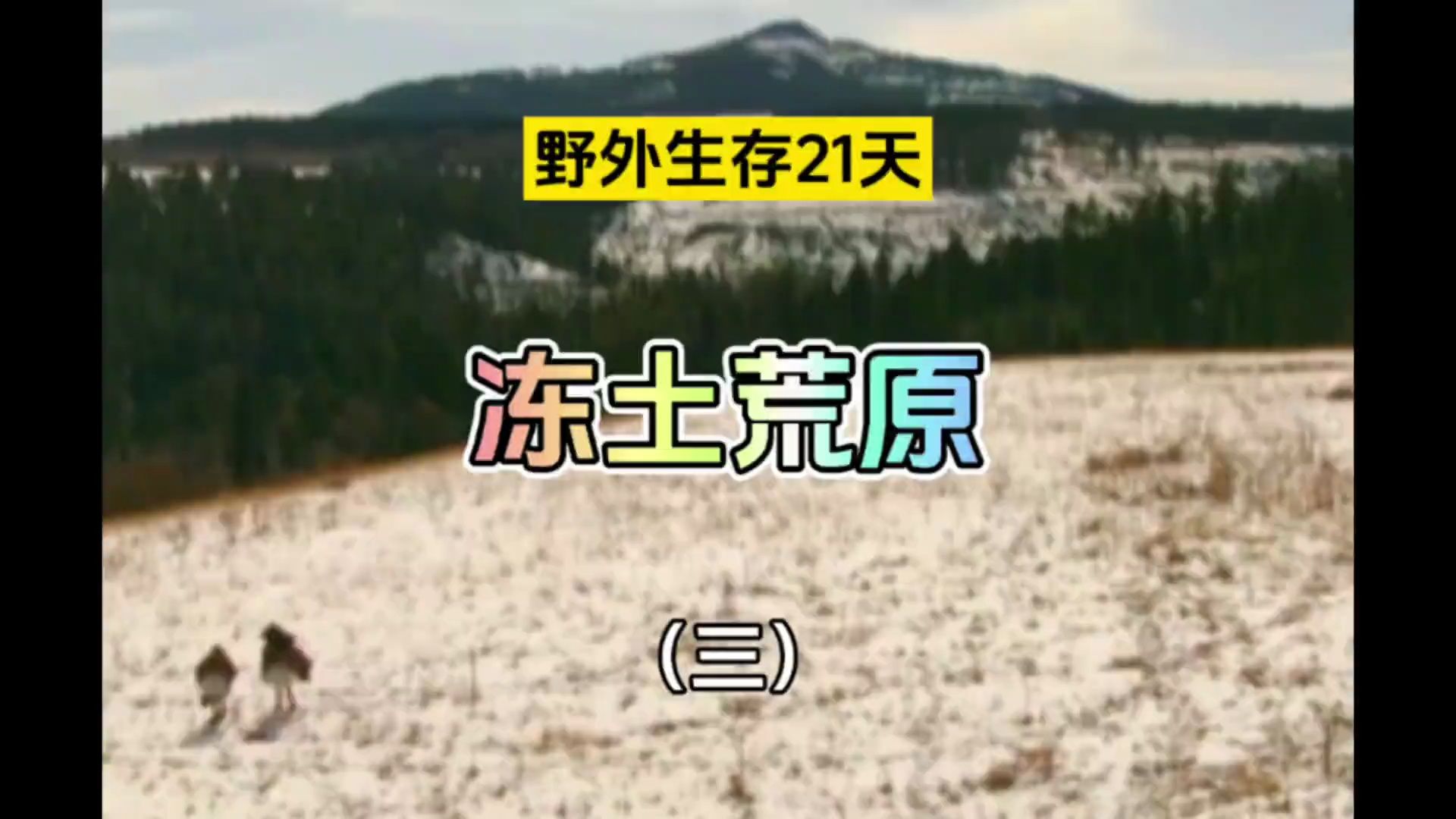 原始生活21天无码观看哔哩哔哩bilibili