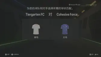 2025.01.20 [FPL 杯赛] Tiergarten FC VS Cohesive Force 主场
