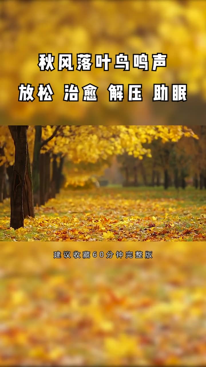 [图]秋风扫落叶自然声,坚持听,身心放松,修复大脑,22243392198