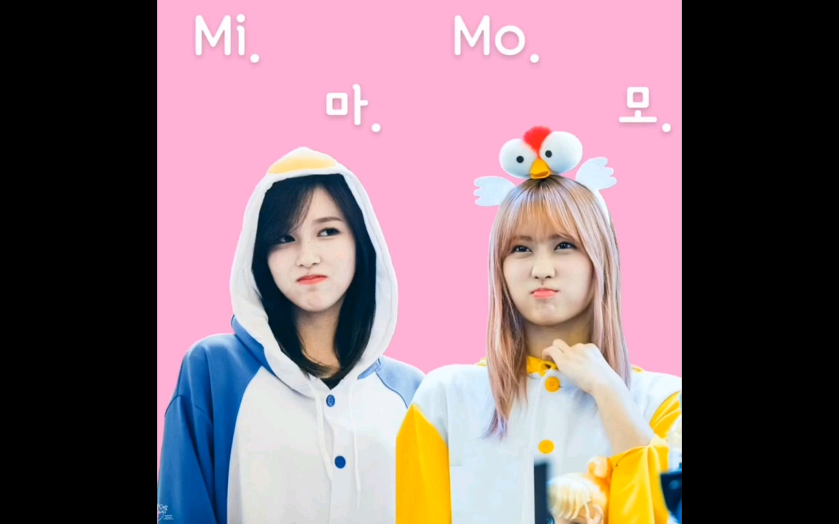 【cp】twice 这两个应该是真爱 双井mimo互动合辑_哔哩哔哩 (゜-゜)つ