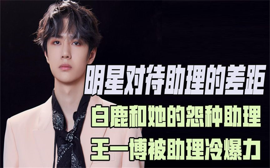 明星对待助理的差距,白鹿和她的怨种助理,王一博被助理冷爆力
