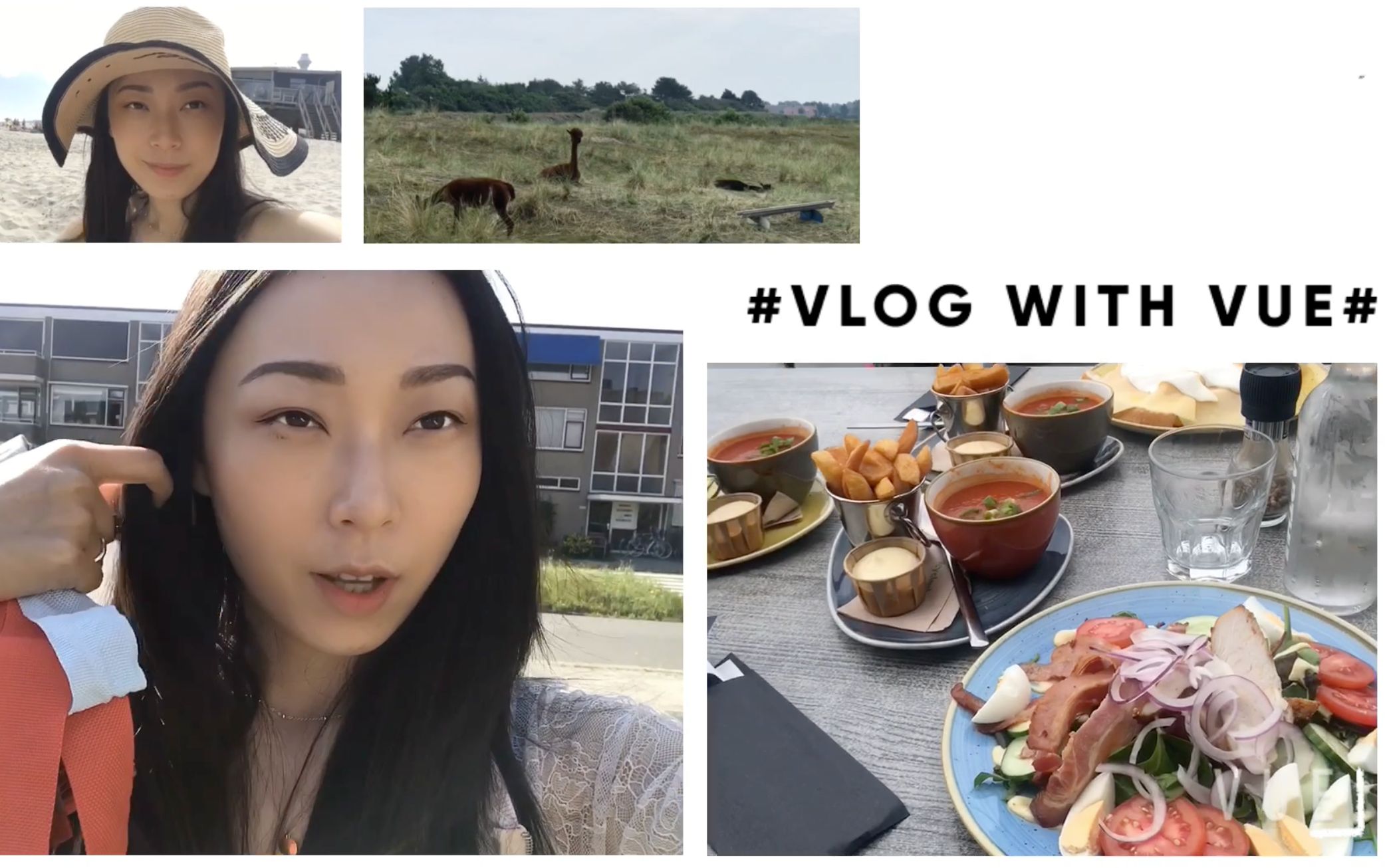 Vlog|荷兰格罗宁根大学简介➕小岛一日游哔哩哔哩bilibili