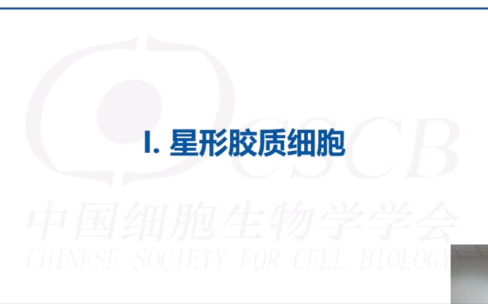 神经科学课程第六讲 胶质细胞(下)浙江大学 谷岩 研究员(中国细胞生物学学会)哔哩哔哩bilibili