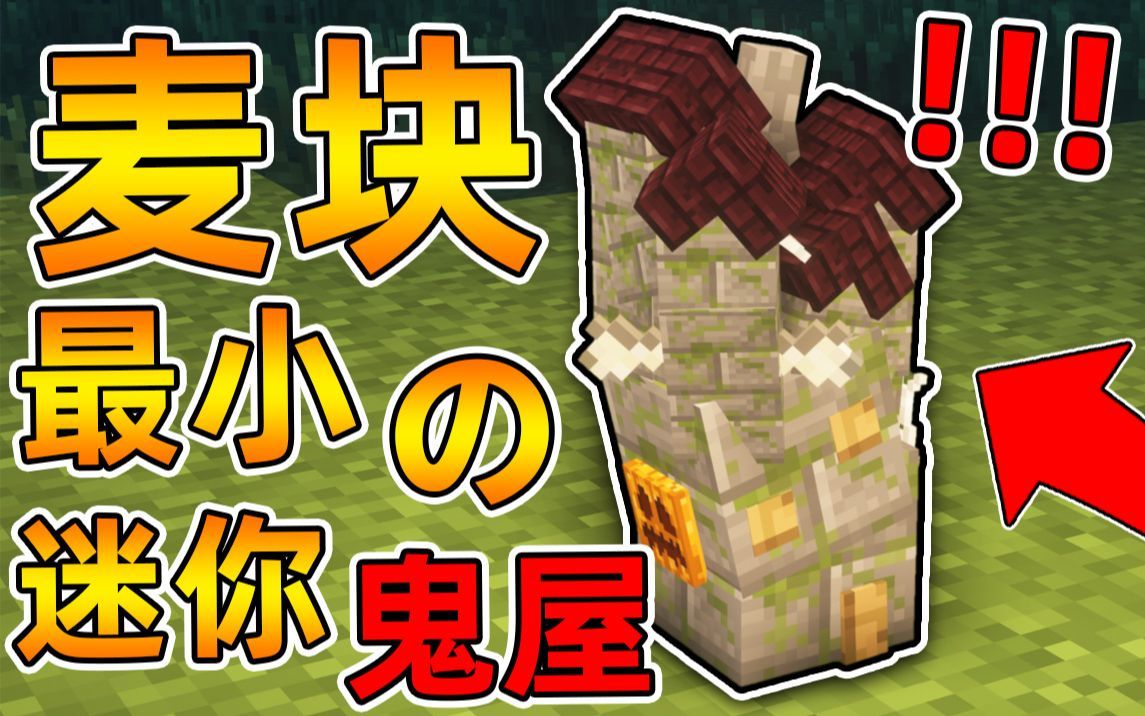 minecraft我的世界恐怖迷你鬼屋进去的都出不来了我的麦块闹鬼了恐怖