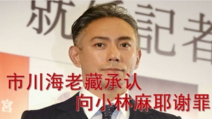 市川海老藏小林麻耶 哔哩哔哩 つロ干杯 Bilibili