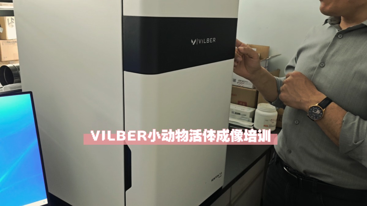 VILBER小动物成像仪培训(自用版)哔哩哔哩bilibili