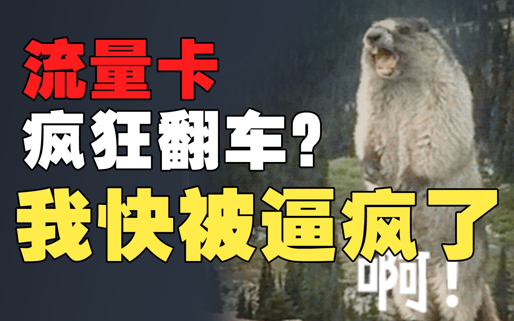 【大忽悠】流量卡惊天骗局,联通雁塔卡重新定义“图片与实物不符”,给你翻译翻译什么叫惊喜哔哩哔哩bilibili