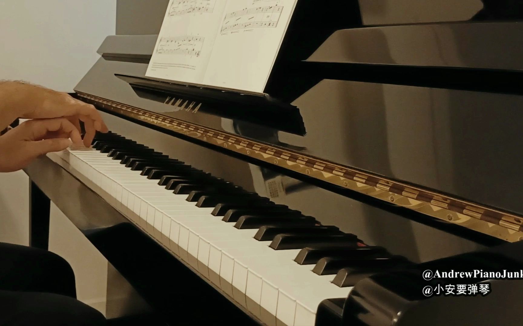 英皇钢琴考试 2023-2024,初级: c3,diane hidy 作曲,倒霉运 jinx