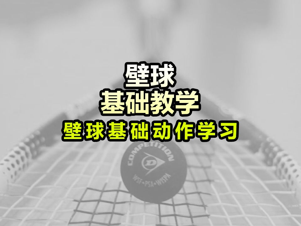 壁球小白基础教学哔哩哔哩bilibili