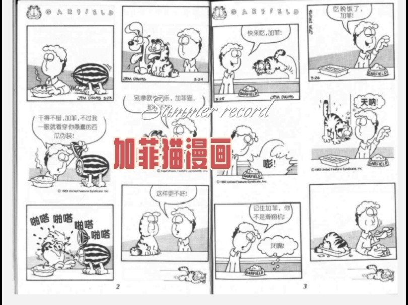 黑暗加菲猫漫画图片