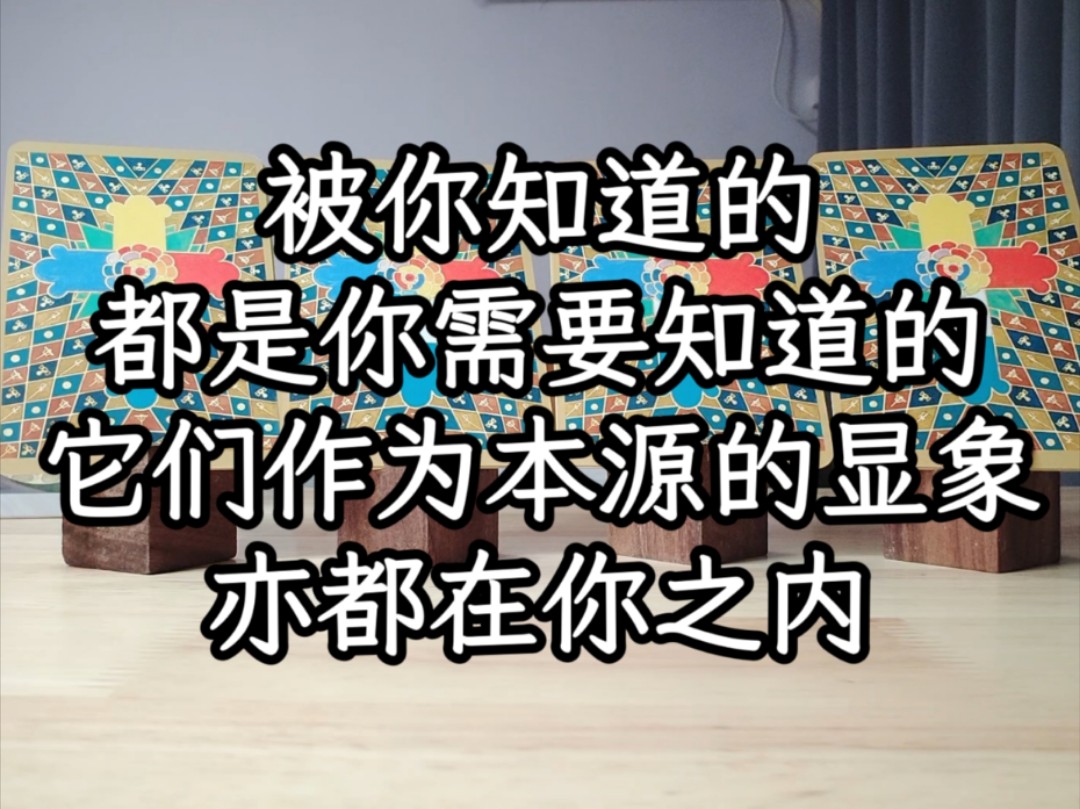 【Eno】传讯(不限时空)哔哩哔哩bilibili