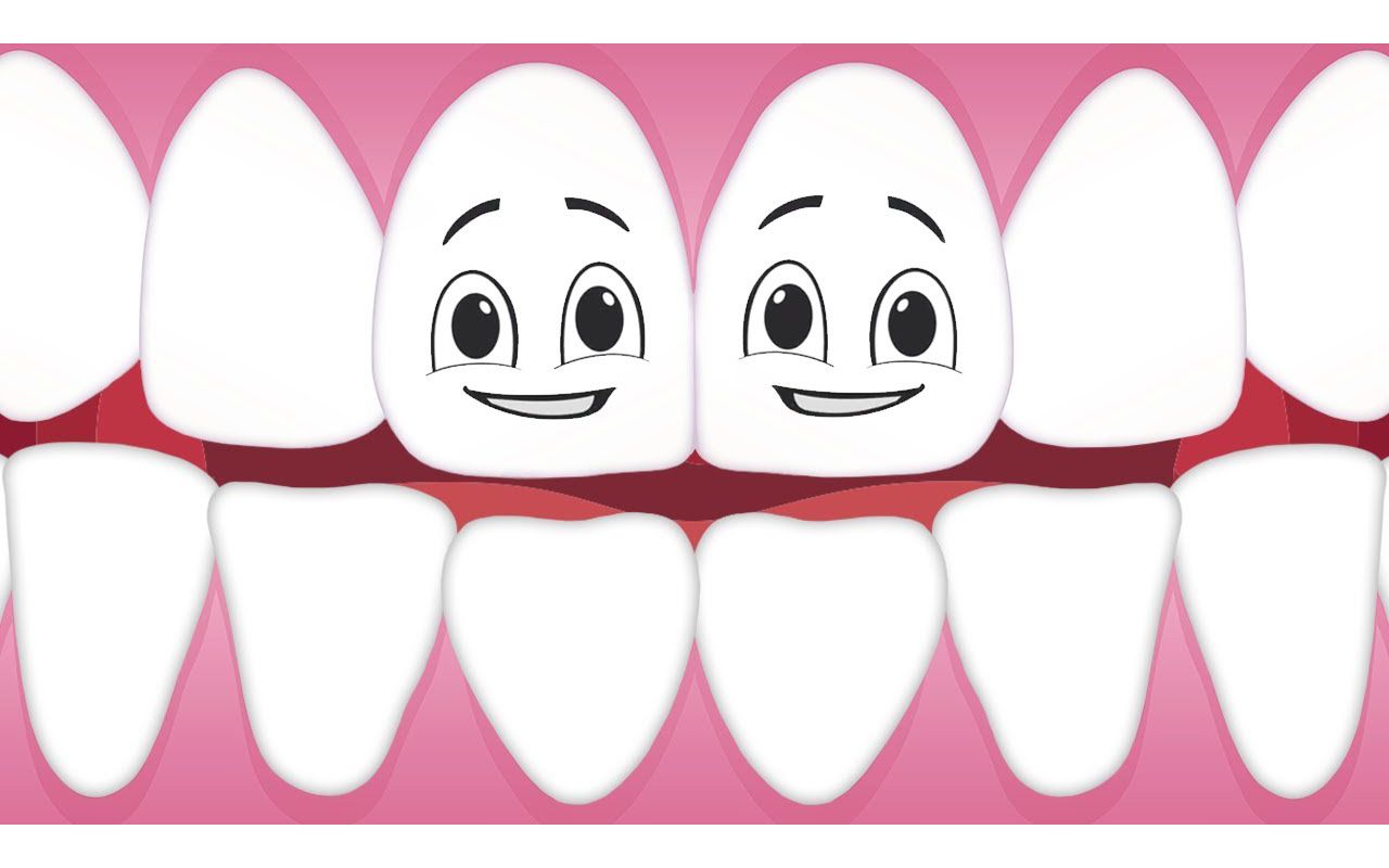 discover why your teeth are so important!