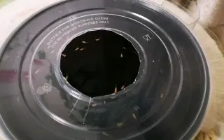 孔雀花鳉鱼 哔哩哔哩 Bilibili 孔雀花鳉鱼 哔哩哔哩 Bilibili