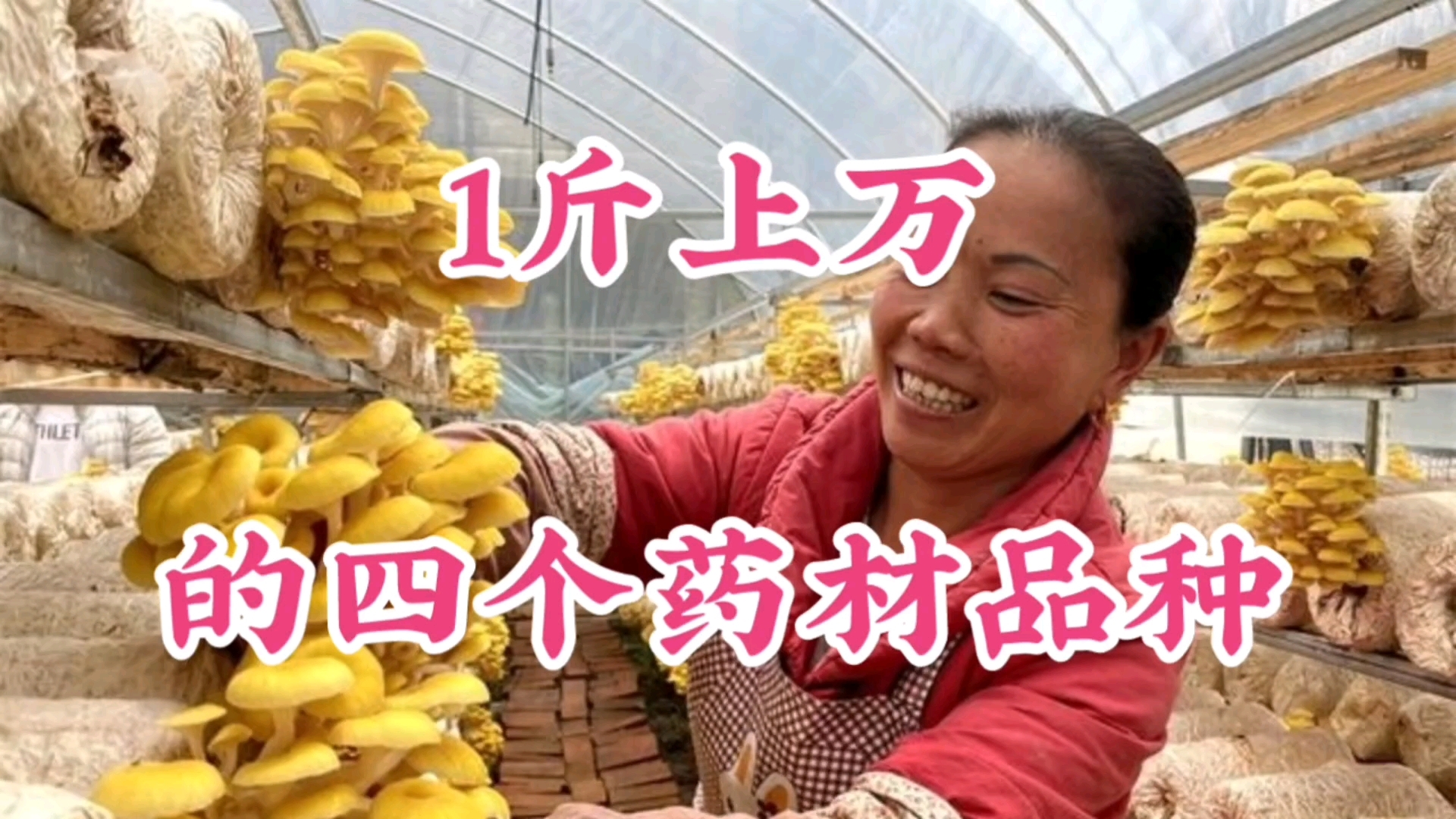 2021年要大涨的药材(2021年要大涨的药材是什么)