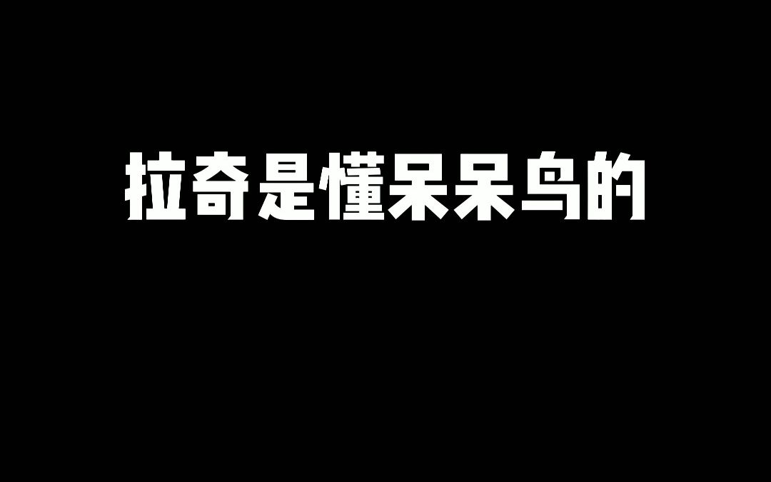 拉奇是懂呆呆鸟的网络游戏热门视频