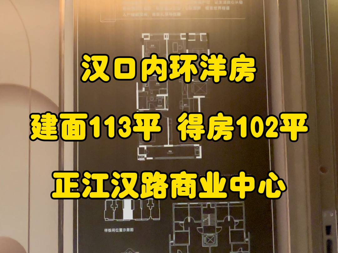 汉口113平小户型洋房,得房102平#好房推荐 #你的家哔哩哔哩bilibili