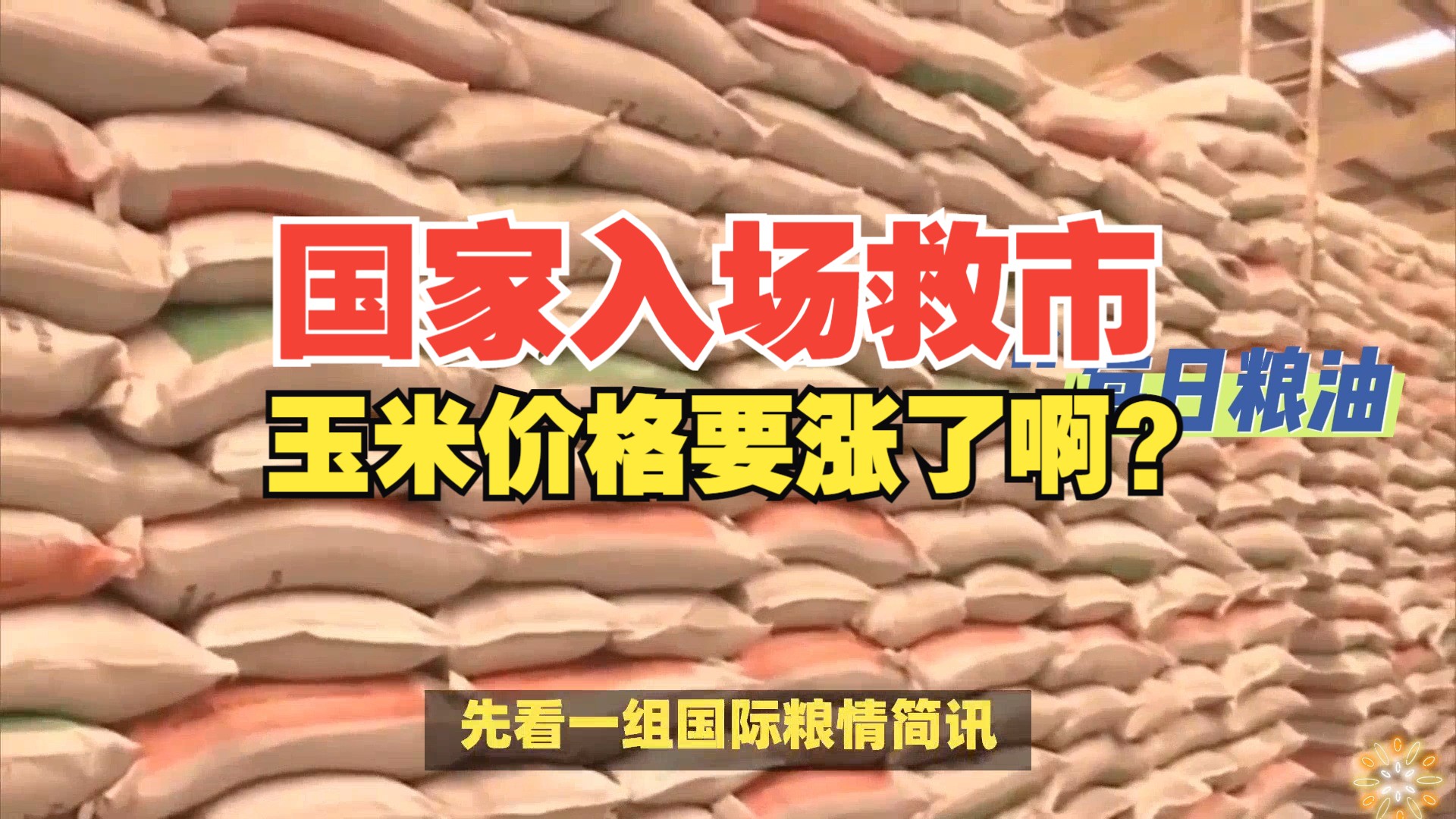 有机构预期减产 国家入场救市玉米价格要涨 中粮科技看好未来价格走势哔哩哔哩bilibili