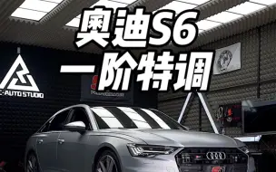 Download Video: 西装暴徒奥迪 S6 一阶马力机特调