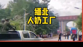 Télécharger la video: 缅北人奶工厂