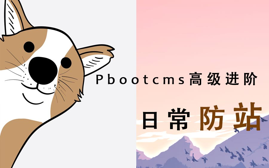 PBOOTCMS仿站教程 新手PBOOTCMS加后台视频教程 项目完整版哔哩哔哩bilibili