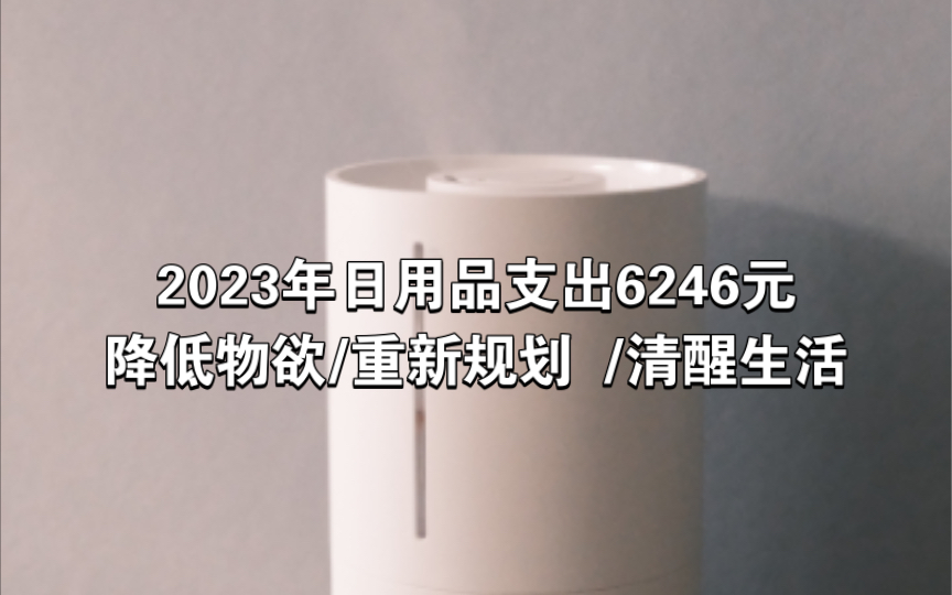 极简生活|个护美妆家清纸品消费 6246 元/降低物欲,重新规划 2024 年生活用品开支/不买年/哔哩哔哩bilibili