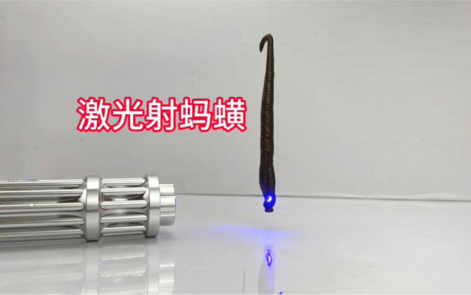 用激光照射蚂蟥!会发生什么事?哔哩哔哩bilibili