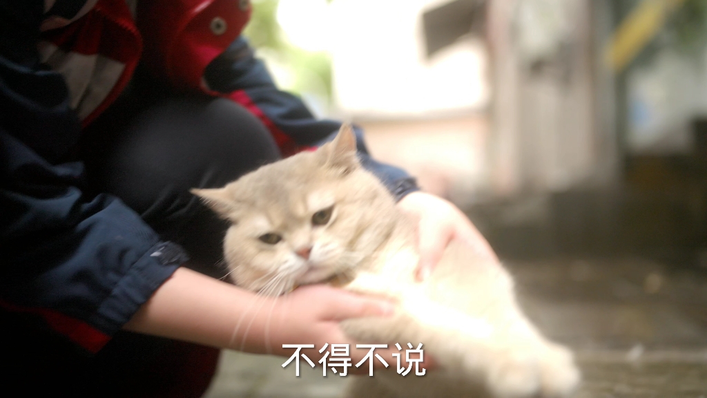 走进大山扶贫