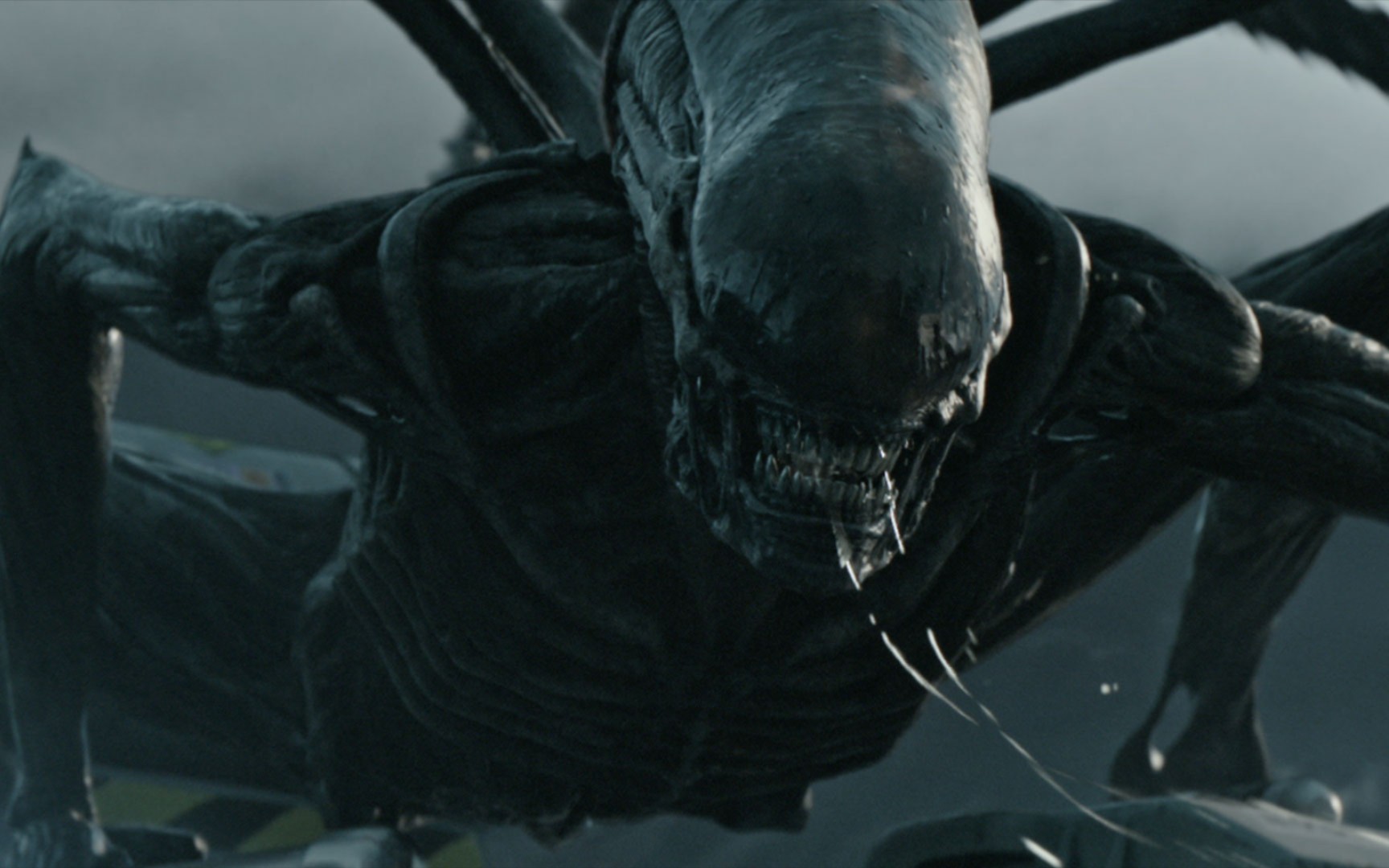 恐怖的不是异形,而是疯狂的生化人!异形前传最终篇《异形契约》