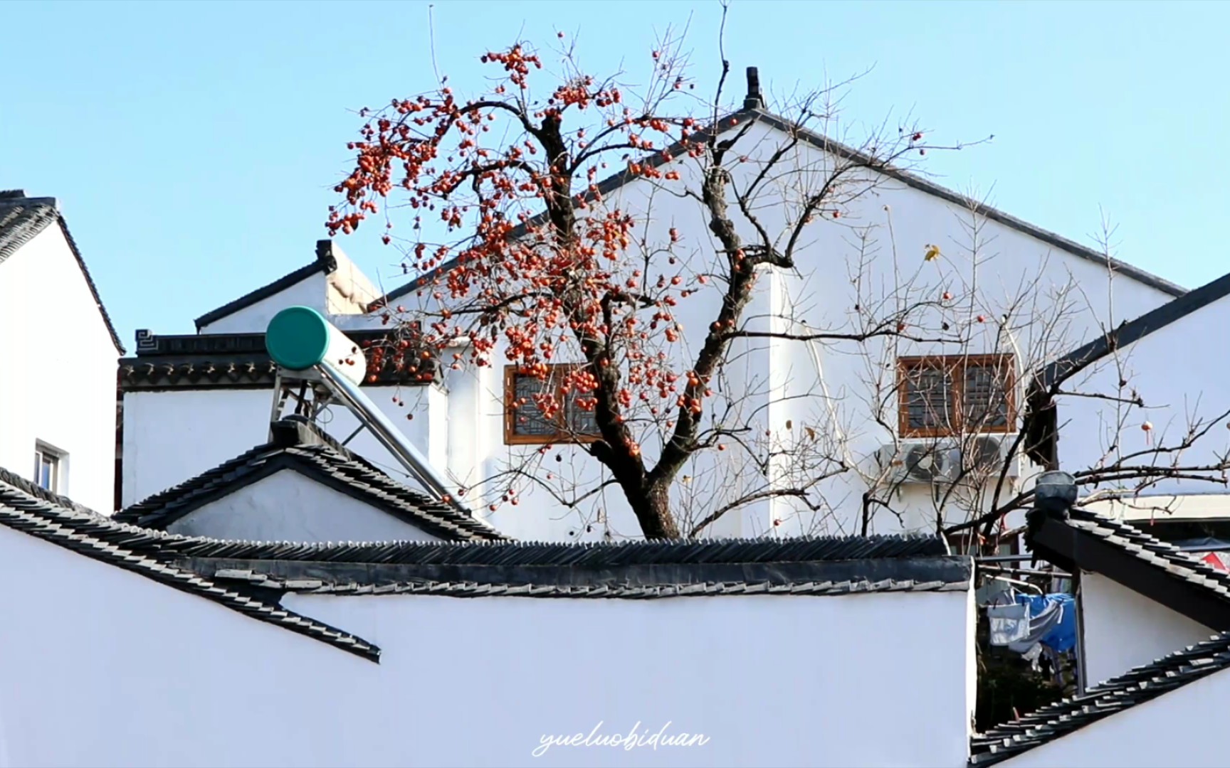 [图]「在苏州」初冬的晴天，从北寺塔散步至平江路