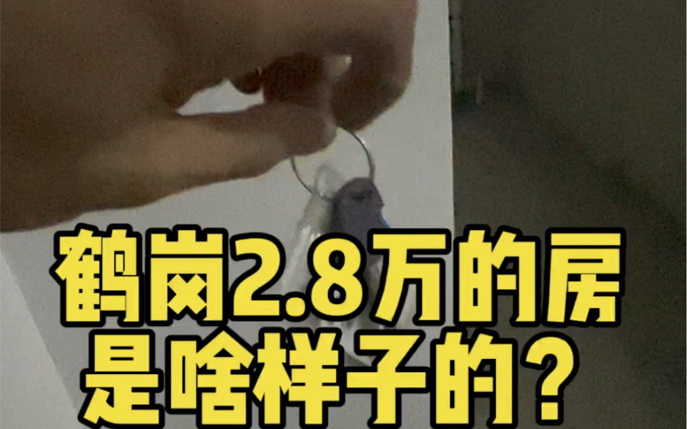 鹤岗2.8万一套的房子是啥样子的?哔哩哔哩bilibili