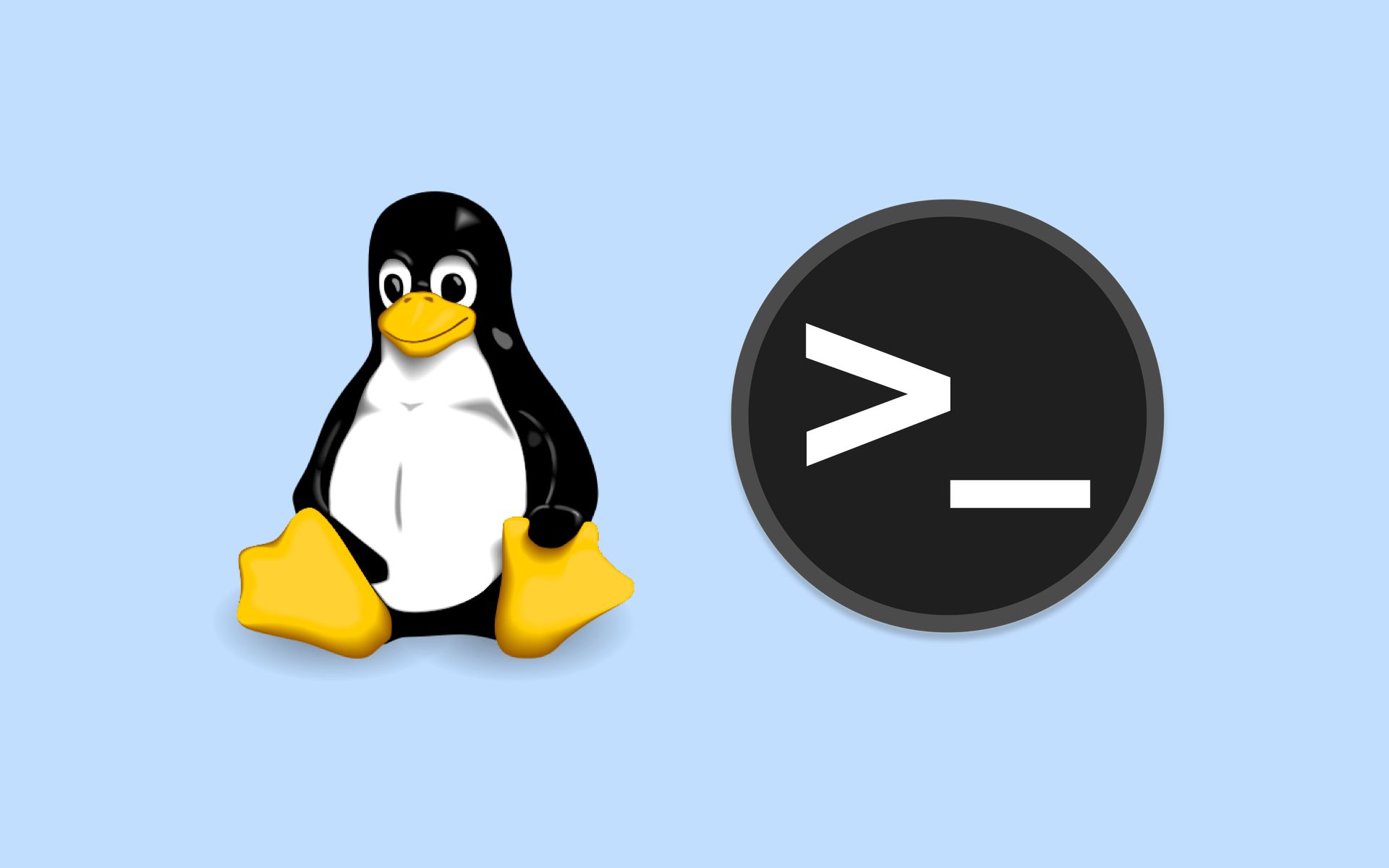 什么是终端、终端模拟器、Shell?Linux下终端模拟器推荐!  ⷍanjaro + i3wm」  Linux学习日记#6哔哩哔哩bilibili