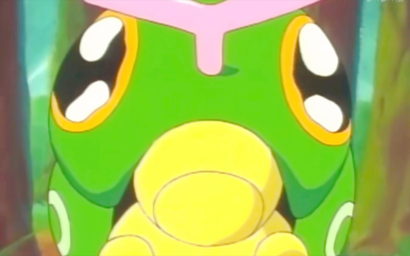 小智的绿毛虫也是很可爱的嘛