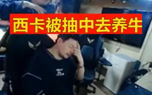 Descargar video: 西卡被抽中去养牛，瞬间司马脸，这下难顶了！