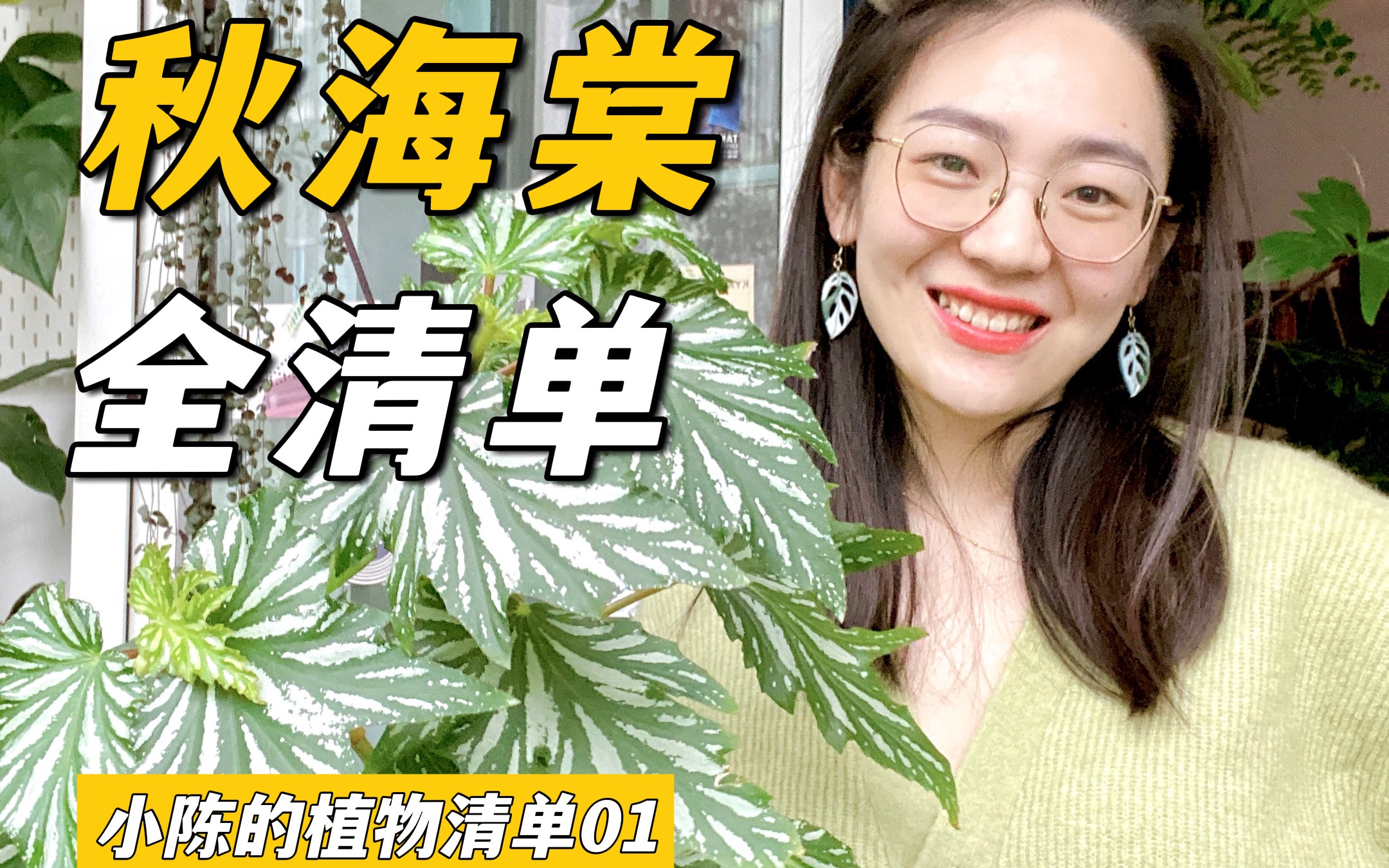 [图]12种秋海棠｜在家里养一棵小树吧🌲