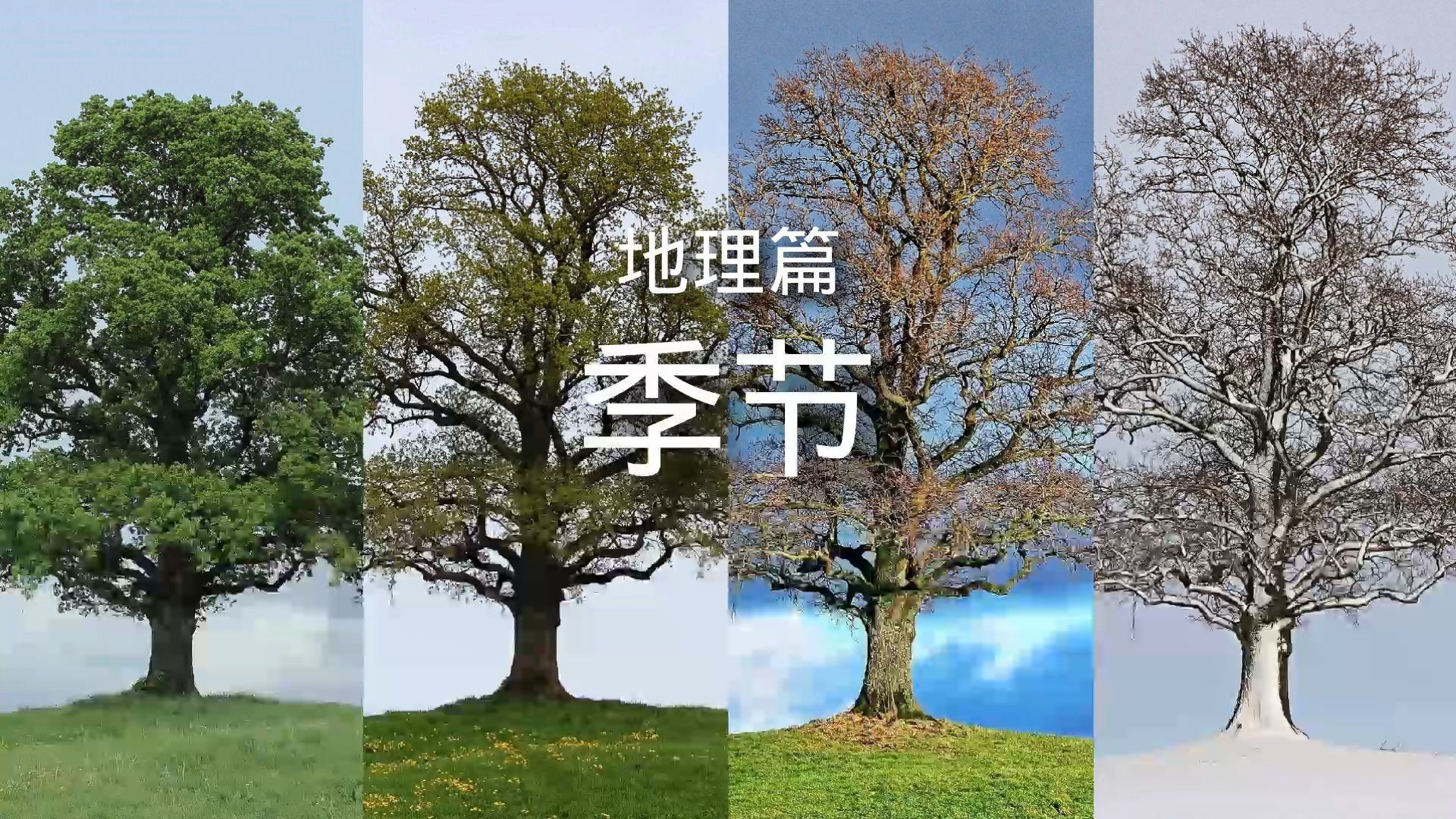 [图]百科全书-地理篇-季节 简介