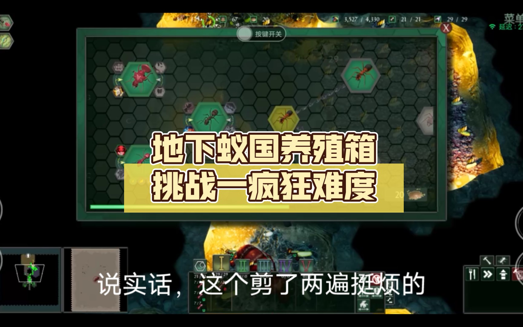 地下蚁国养殖箱挑战一疯狂难度