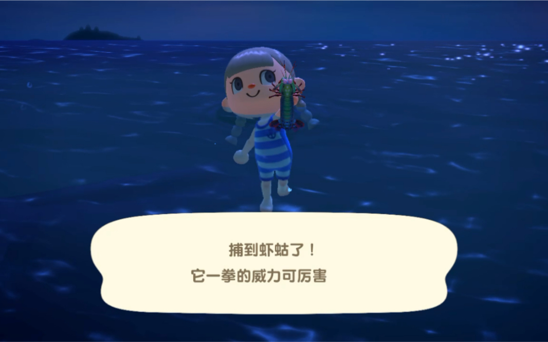 动森如何捕捉虾蛄稀有海洋生物集锦3