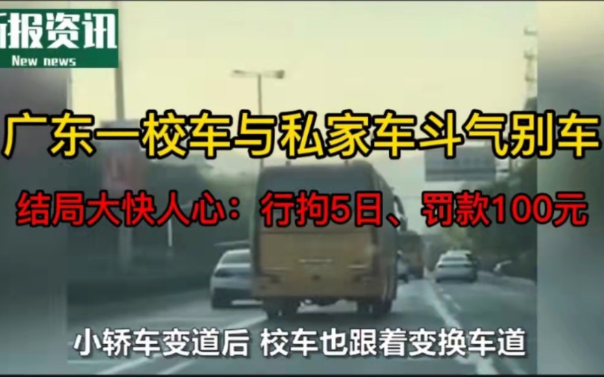 广东一校车与私家车斗气别车结局大快人心行拘5日罚款100元